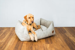 Brendan Classic dog bed White