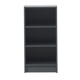 Zaira 80cm H x 40cm W Standard Bookcase