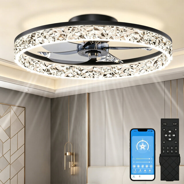 50CM LED Ceiling Fan with Lights