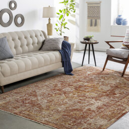Vintage Look Area Rug
