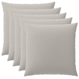 Cushion