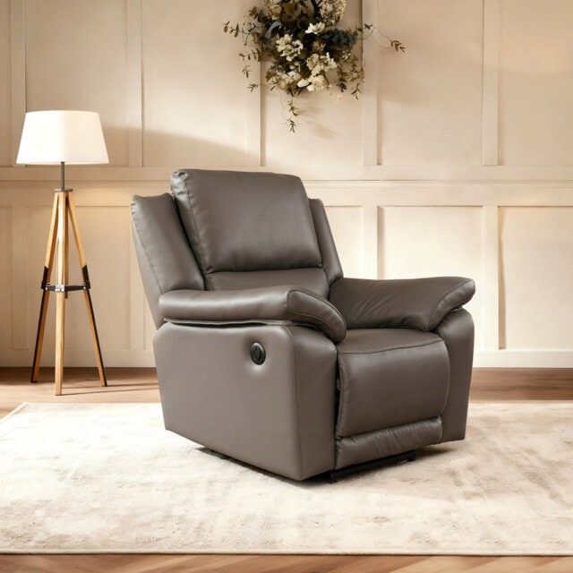 Fredel Standard Recliner