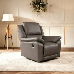 Fredel Standard Recliner