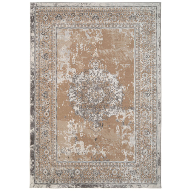 Beige Distressed Traditional Medallion Rug