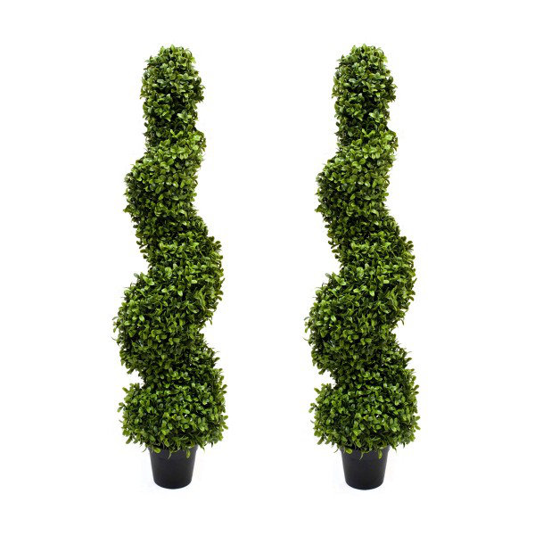 98cm Plant
