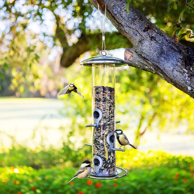 Aqiba Tube Bird Feeder