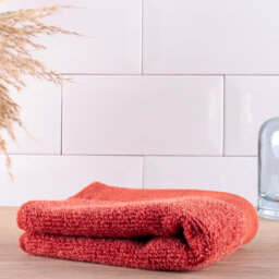 Merth Plush Washcloth