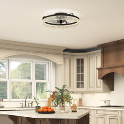 CeilingÂ Fan With Light