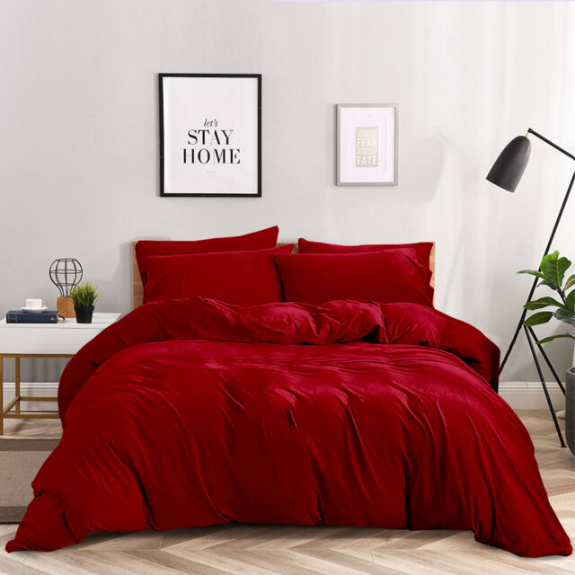 Anicia Super Soft 250 TC Microfibre Reversible Plain Duvet Cover Set