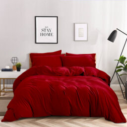 Anicia Super Soft 250 TC Microfibre Reversible Plain Duvet Cover Set