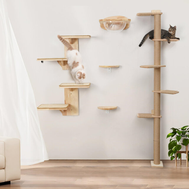 Cat Wall Shelves, 2 Platform Cat Wall Furniture, Tree Shape Wall-Mounted Cat Floating Shelf With Sisal Mat, Solid Rubber Wood Cat Perch For 40 Cm Dryw