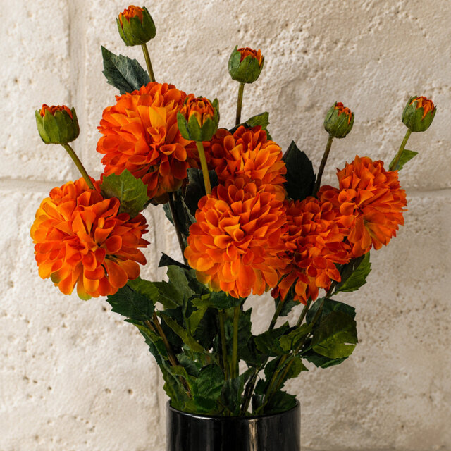 Artificial Arrangement
