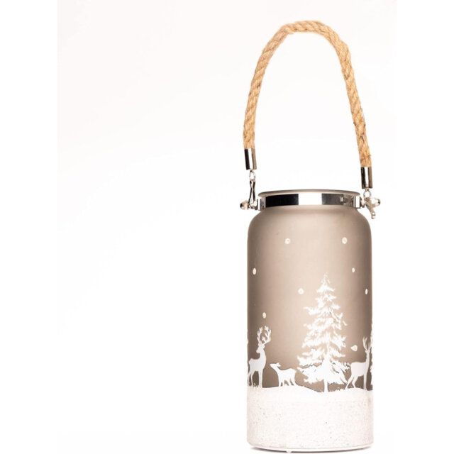 LED Indoor / Outdoor Single Christmas Light