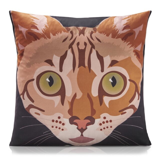 Ditoro Animal Print Multicoloured Square Cushion