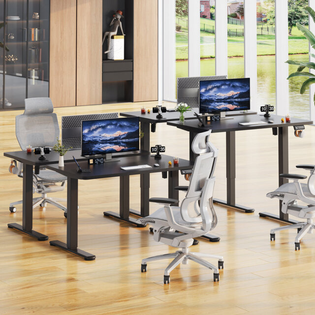 Mallus 120CM x 60CM Electric Height Adjustable Standing Desk