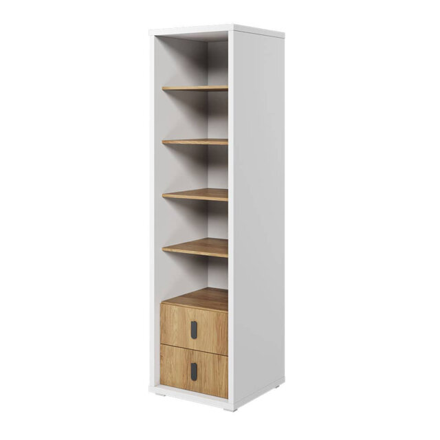 Arnolf 200cm H x 55cm W Book Display Bookcase