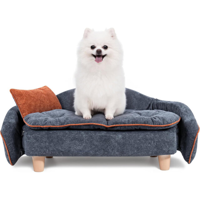 Archie & Oscar™ Elevated Small Dog Couch Bed With Bolster Sides, Raised Small Dog Sofa Bed With Headrest Pillow