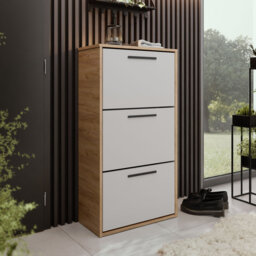 15 Pair Shoe Storage Cabinet