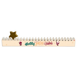 Vivid Squid Wholesale Christmas Novelty & Humour Advent Calendar