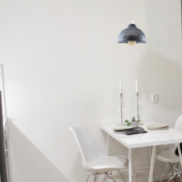 10cm H x 21cm W Metal Bowl Pendant Shade