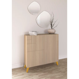 12 Pair Shoe Storage Cabinet