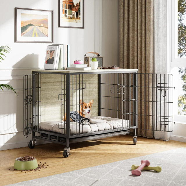 Dog House
