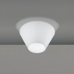 Glass Flush Mount