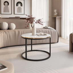 Coffee Table with Storage