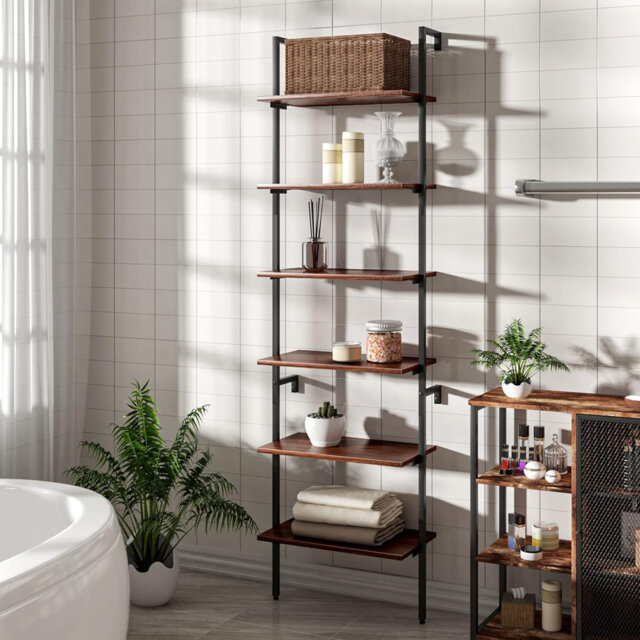 Shoell 204cm H x 56cm W Ladder Bookcase