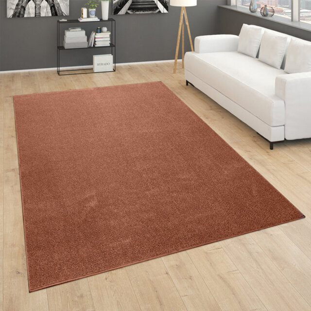 Crofford 100% Polypropylene Copper Rug