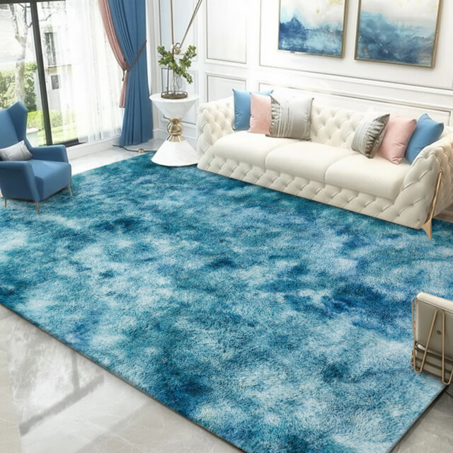 Shaggy Area Rug Soft Carpet, for Living Room