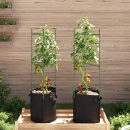 Plant Stand - Set of 2