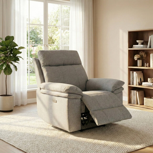Cooney 99cm Wide Standard Recliner