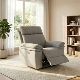 Cooney 99cm Wide Standard Recliner