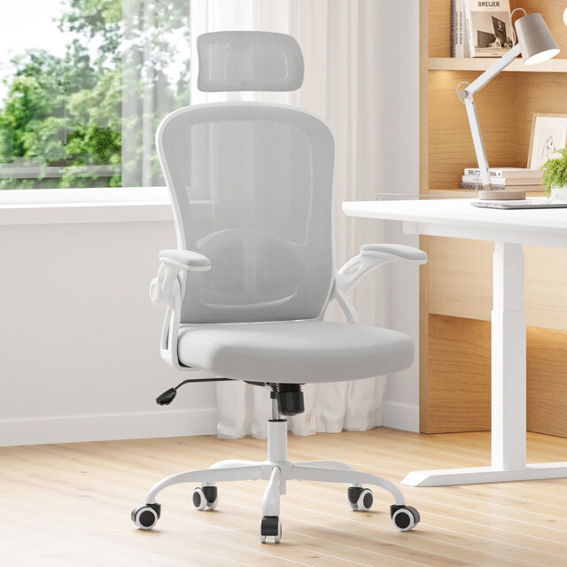 Montclaire Mesh Desk Chair With Adjustable Lumbar Support