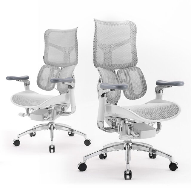 Ergonomic Office Chair, with Dual Dynamic Lumbar Support, 6D Coordinated Armrest