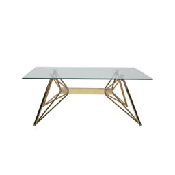 Luxury Coffee Table
