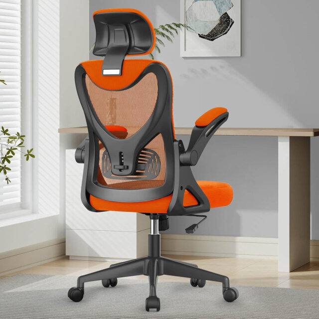 Ergonomic Office Chair, Computer Chair, Mesh Chair