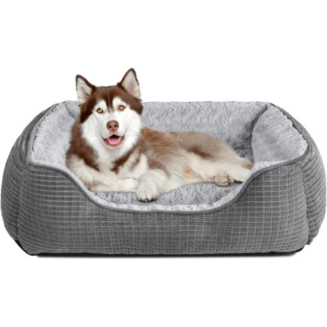 Extra Large Dog Bed Washable, Soft Rose Velvet Dog Bed Low Front Edge Pet Bed Non-Slip Bottom Puppy Bed, Orthopedic Calming Pet Bed For Labrador, Gold