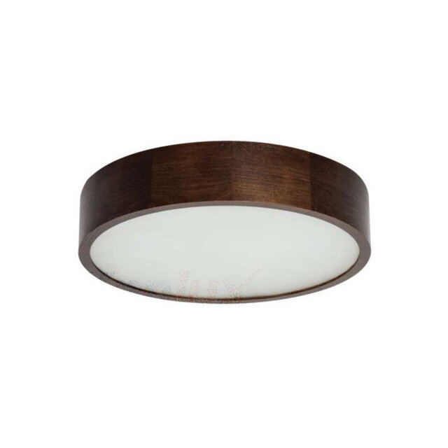 Brahn LED Flush Mount