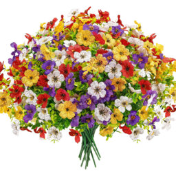 Arrangement