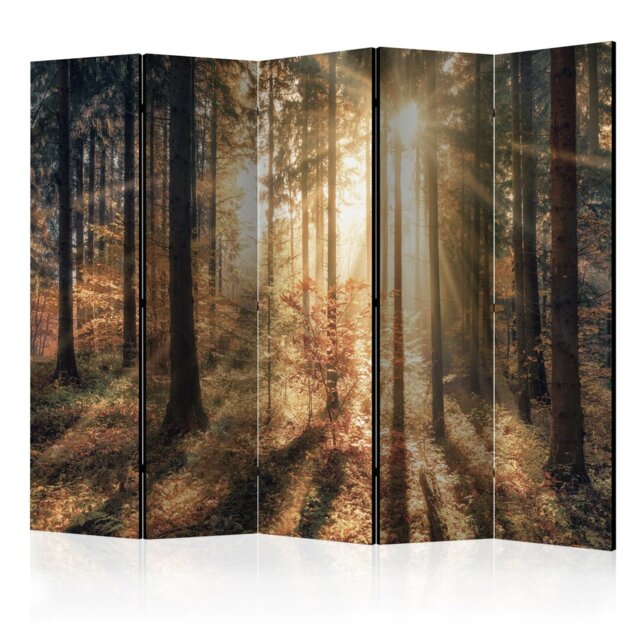5 Panel Room Divider