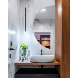 Lisset Novelty Wall Mounted Vanity Mirror