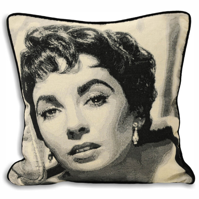 Elizabeth Taylor Feathers Square Scatter Cushion Cushion With Filling