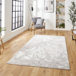 Apollo area rug Machine Woven Rectangle Grey