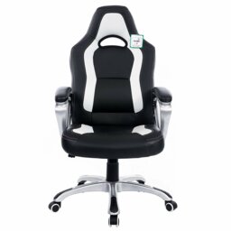 Zipcode Design Oxley Faux Leather Swiveling PC & Racing Game Chair