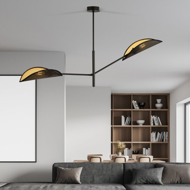 2 - Light Chandelier