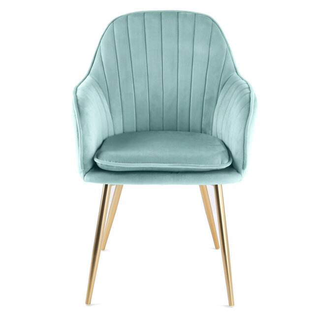 Ariella Velvet Armchair