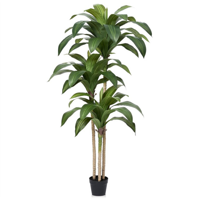 Artificial Dracaena Tree 150Cm - Large Faux Plants Indoor With Plastic Pot 3 Sturdy Trunks & UV-Resistant Plastic Fake Tree - Ideal For Home Office Li