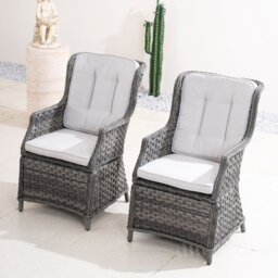 2-Piece Outdoor Rattan Dining Chairs